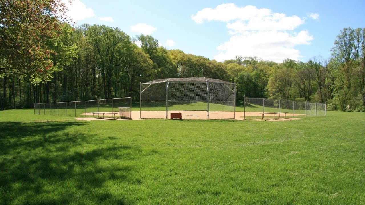 An empty softball diamond with a chain-link backstop, surrounded by green outfield grass and trees under a blue sky.